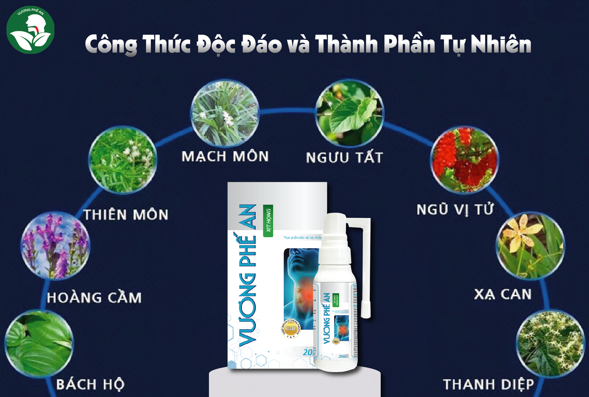 Xịt Họng Vương Phế An - Giải Pháp Tối Ưu Cho Sức Khoẻ Hô Hấp