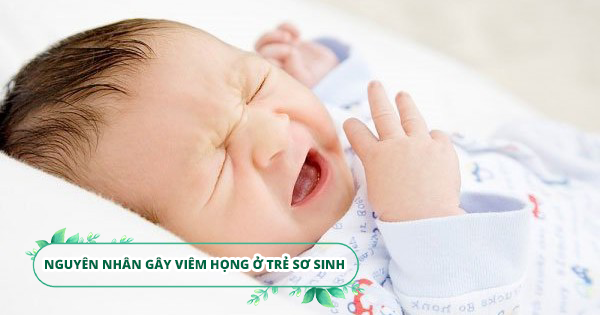 Viêm họng ở trẻ sơ sinh: Nguyên nhân, triệu chứng và cách đề phòng